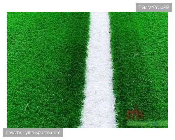 普鲁士公园球场启动草皮更换工程，新混合草皮旨在提升球速与球员急转急停表现